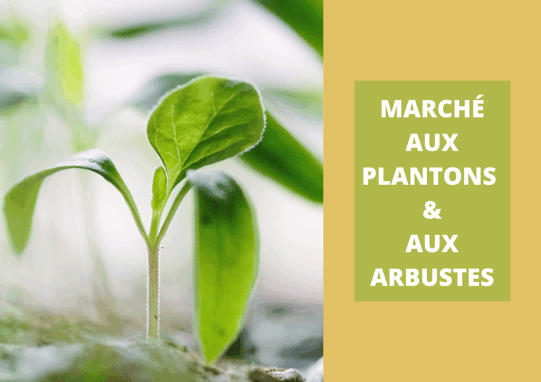 Second marché aux Plantons et arbustes de L’archipel